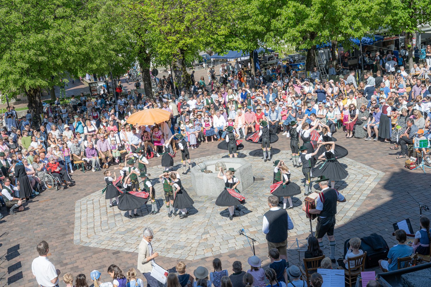 Die Kindergruppe der Immergrünen